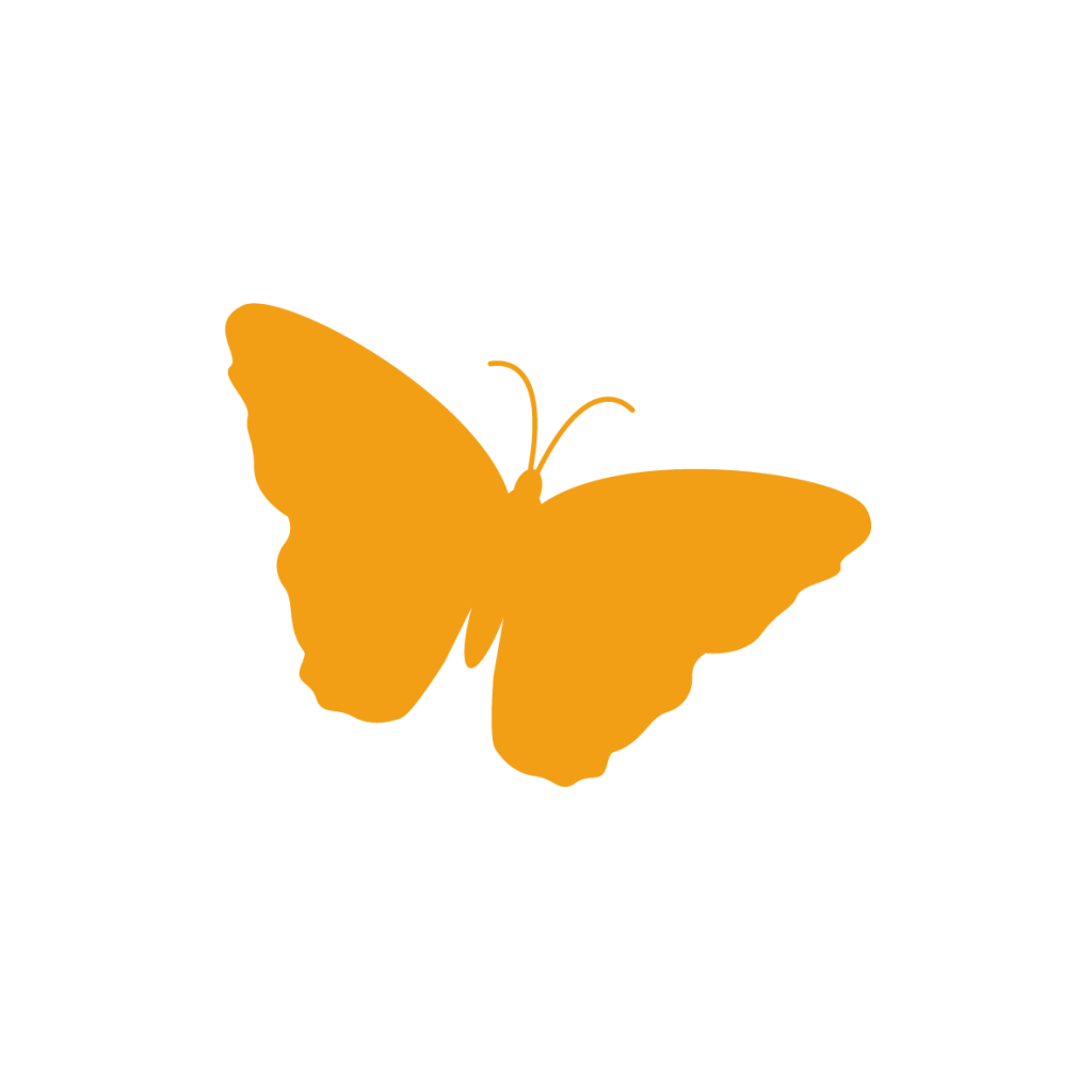 papillon orange deux