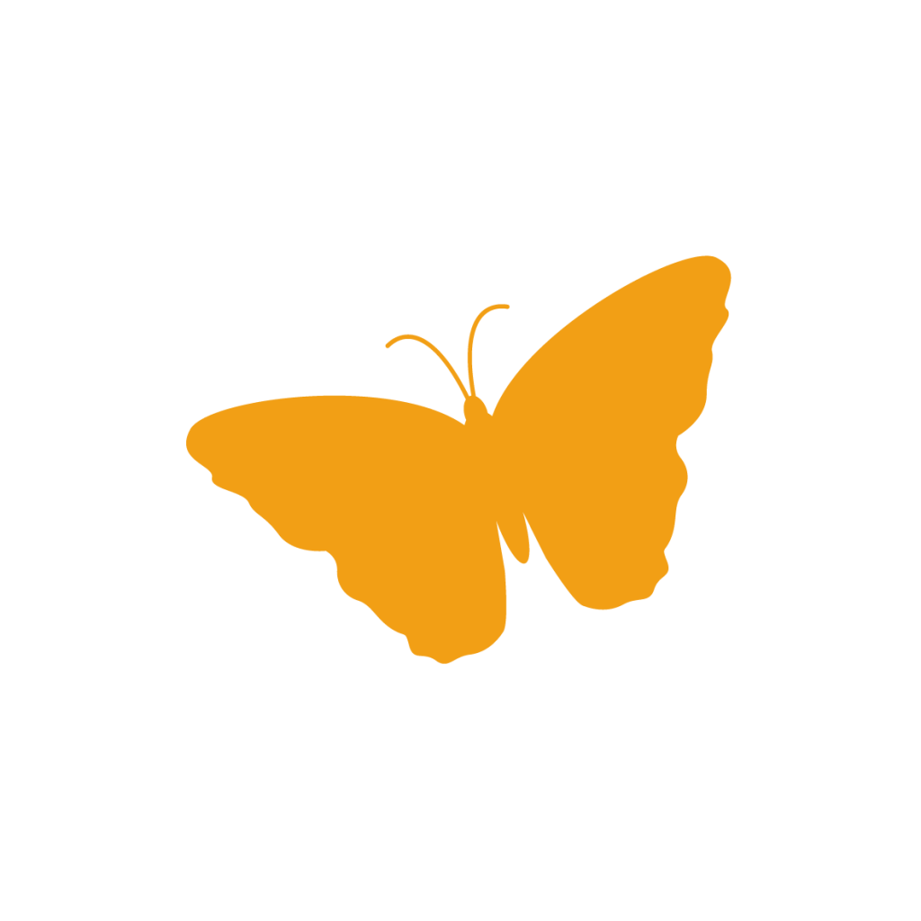 papillon orange réserver un cours